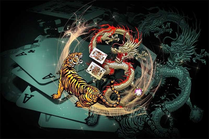 Lời khuyên khi chơi rồng hổ
